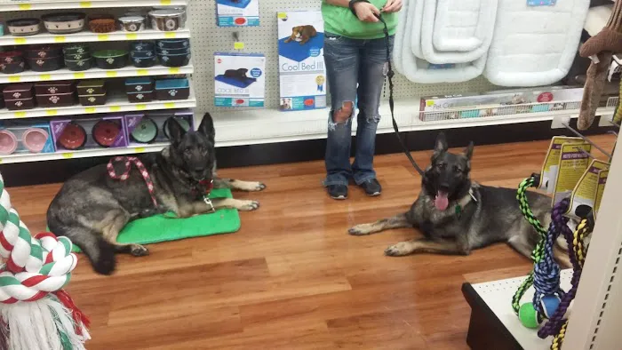 Pet Supermarket Picture 9