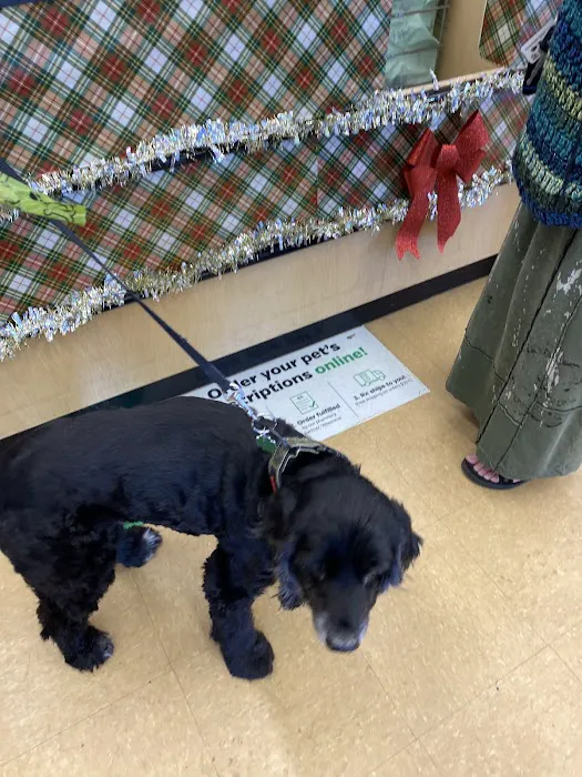 Pet Supplies Plus Clearwater Picture 9