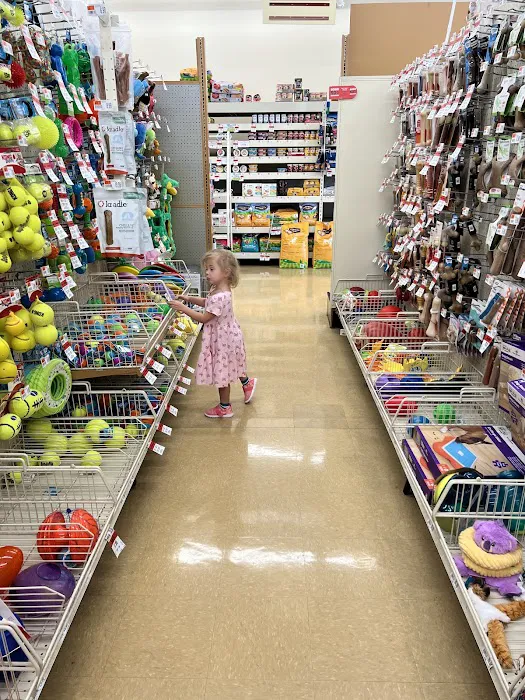 Pet Supplies Plus Clearwater Picture 3