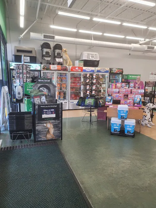 Pet Supplies Plus Clearwater Picture 1