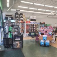Pet Supplies Plus Clearwater ico