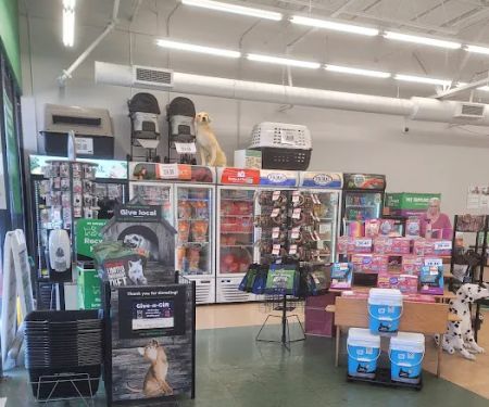 Pet Supplies Plus Clearwater
