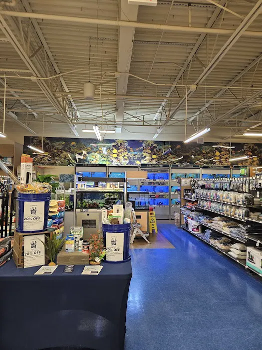Petco Picture 7