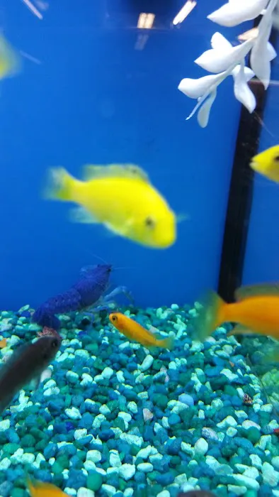 Petco Picture 1