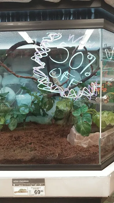 Petco Picture 9