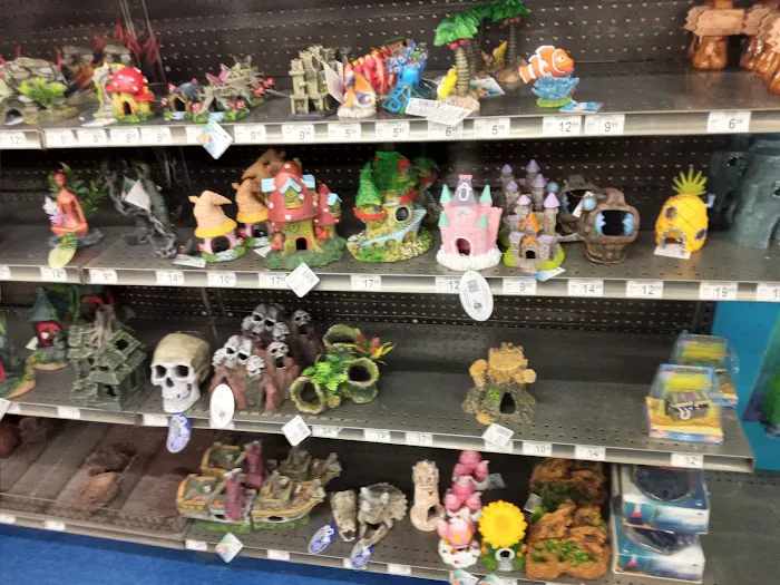 Petco Picture 10