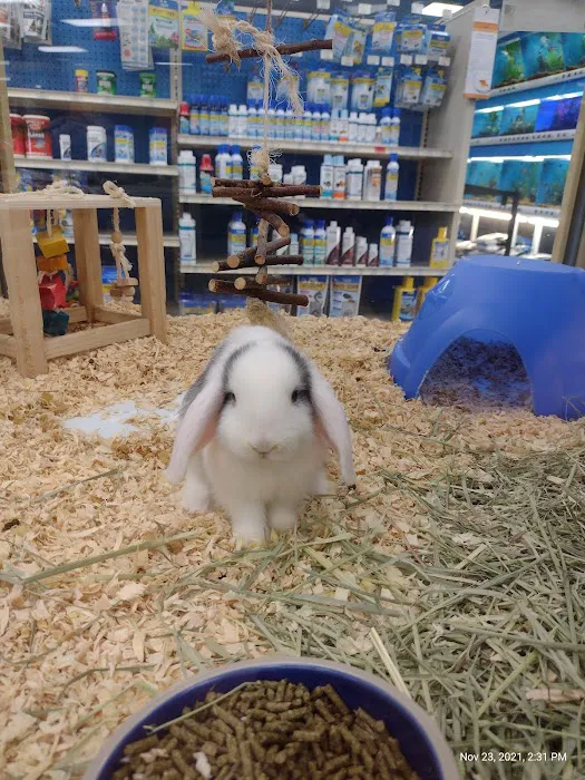 Pet Supermarket Picture 6