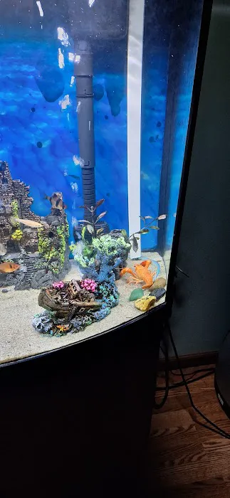 Pet Supermarket Picture 5