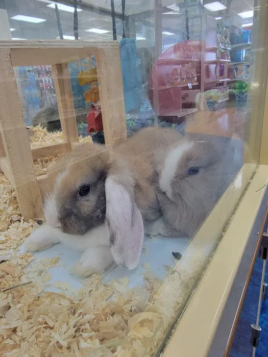 Pet Supermarket Picture 1