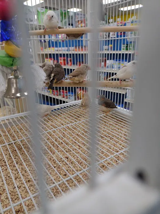 Pet Supermarket Picture 9