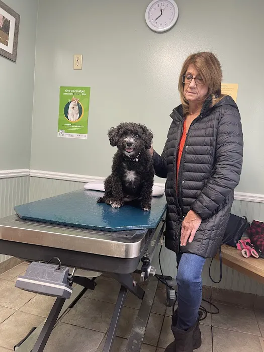 Waterville Veterinary Clinic Picture 1