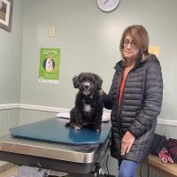 Waterville Veterinary Clinic ico