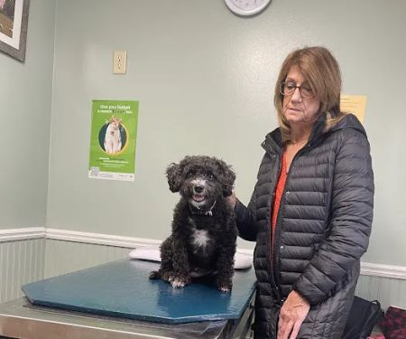 Waterville Veterinary Clinic