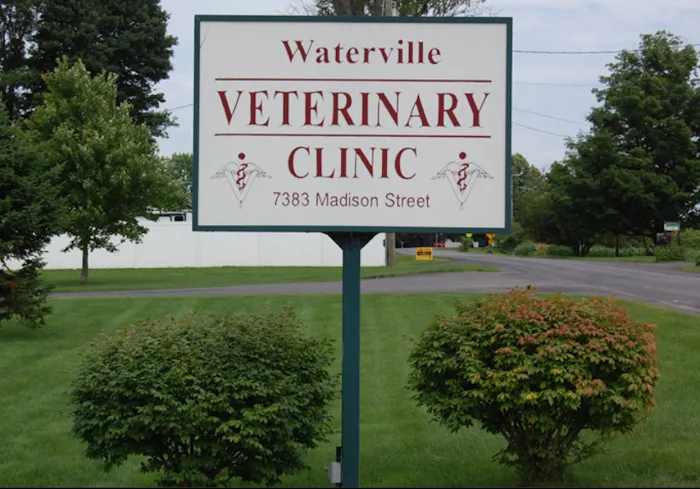 Waterville Veterinary Clinic Picture 10