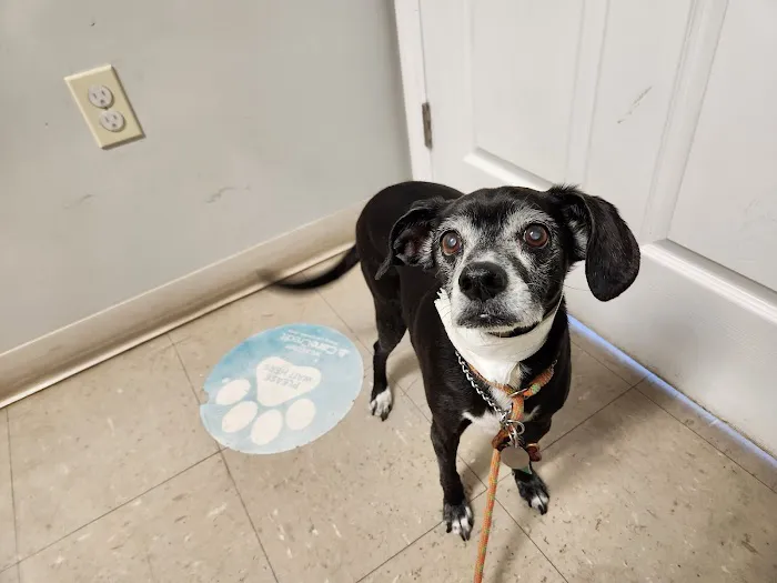 Waterville Veterinary Clinic Picture 4