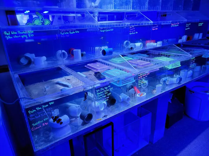 Cardinal Aquariums Picture 8