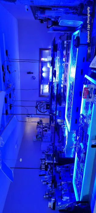Cardinal Aquariums Picture 5
