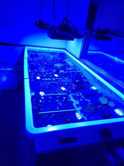Cardinal Aquariums Picture 1