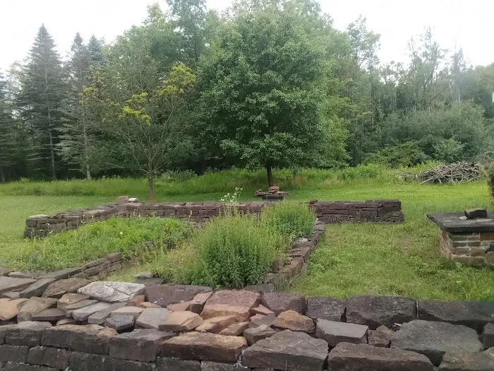 Mohawk Valley Cat Care Picture 7