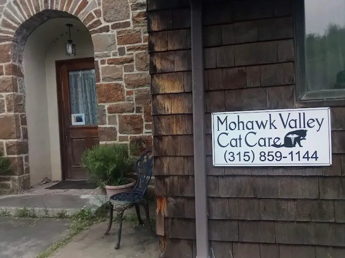 Mohawk Valley Cat Care Picture 2