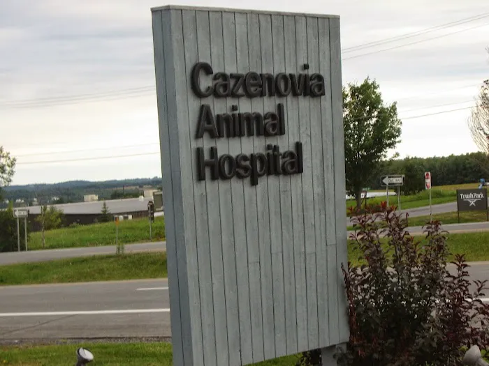 VCA Cazenovia Animal Hospital Picture 8