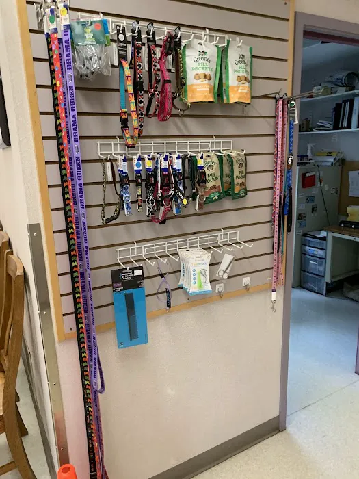 VCA Cazenovia Animal Hospital Picture 4