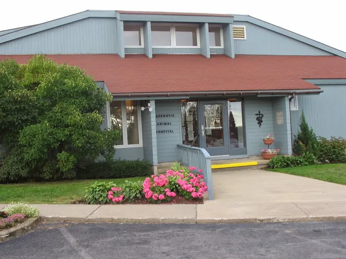 VCA Cazenovia Animal Hospital Picture 6