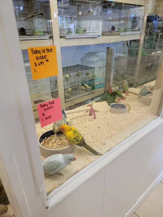 Fosters Exotic Pet Center Picture 9