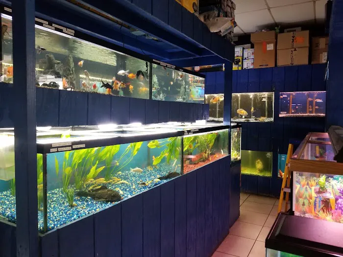 Fosters Exotic Pet Center Picture 7