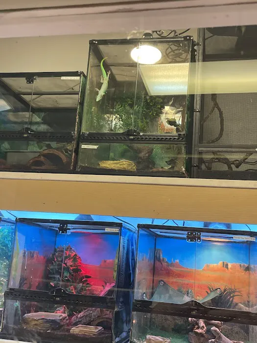 Fosters Exotic Pet Center Picture 2