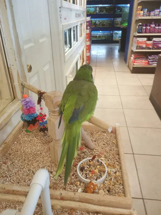 Fosters Exotic Pet Center Picture 5