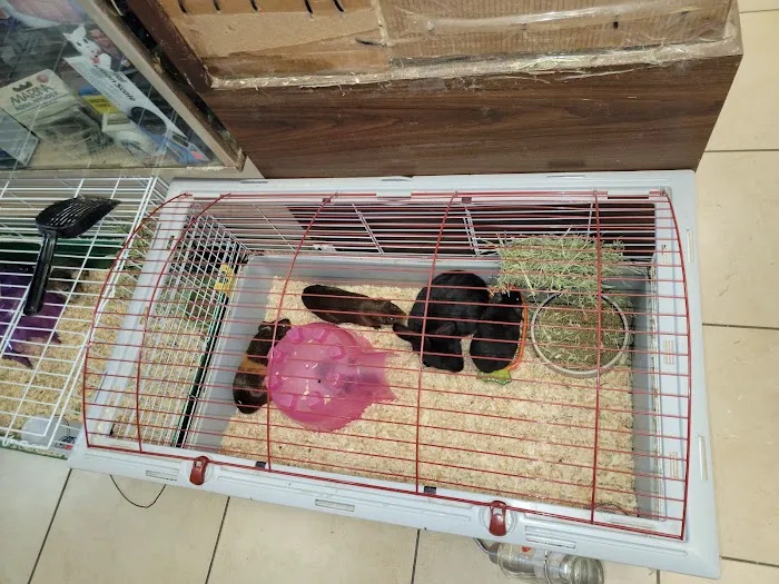 Fosters Exotic Pet Center Picture 10