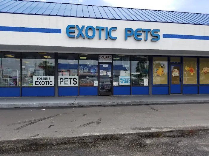 Fosters Exotic Pet Center Picture 3