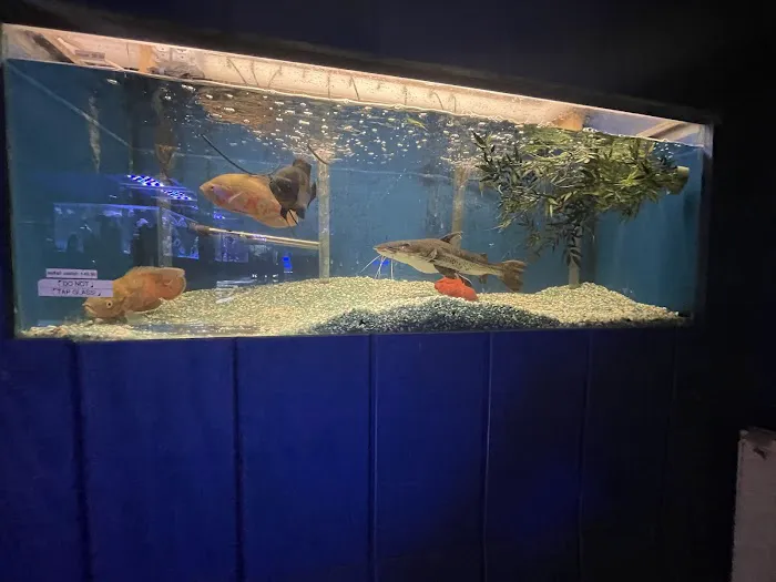 Fosters Exotic Pet Center Picture 1