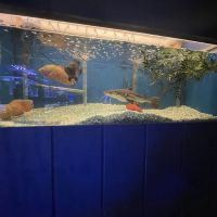 Fosters Exotic Pet Center ico