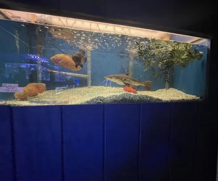 Fosters Exotic Pet Center