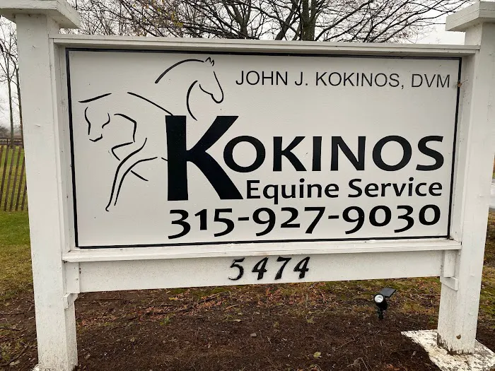 Kokinos Equine Services Inc: John J Kokinos DVM Picture 7