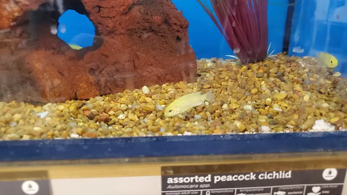 Petco Picture 6