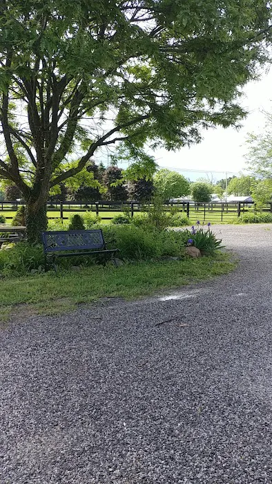 Lawton's Animal Hospital Picture 7