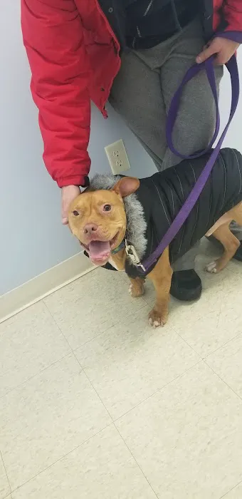 Lawton's Animal Hospital Picture 1
