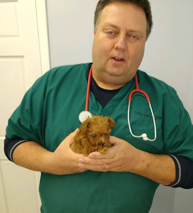 Lawton's Animal Hospital Picture 3