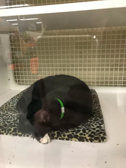 Petco Picture 3