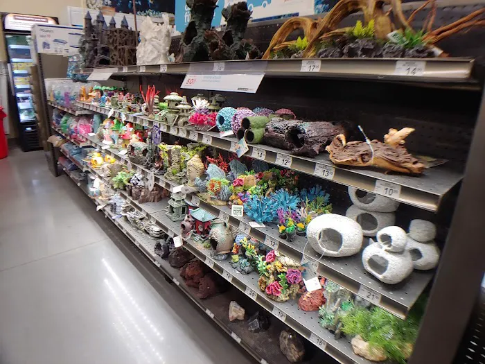 Petco Picture 6