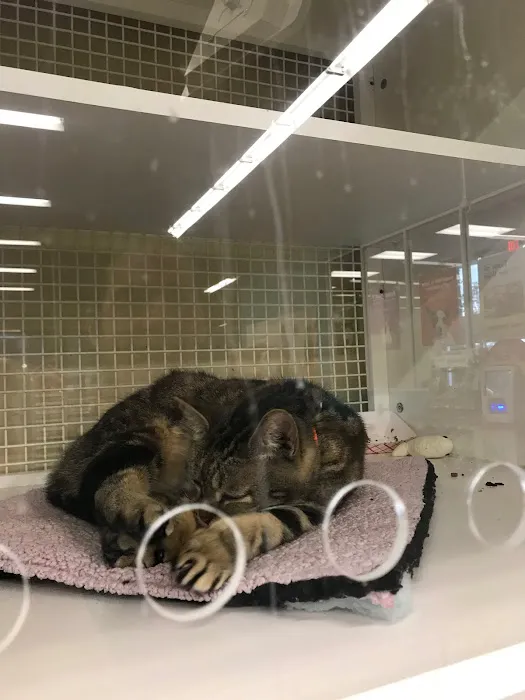 Petco Picture 2