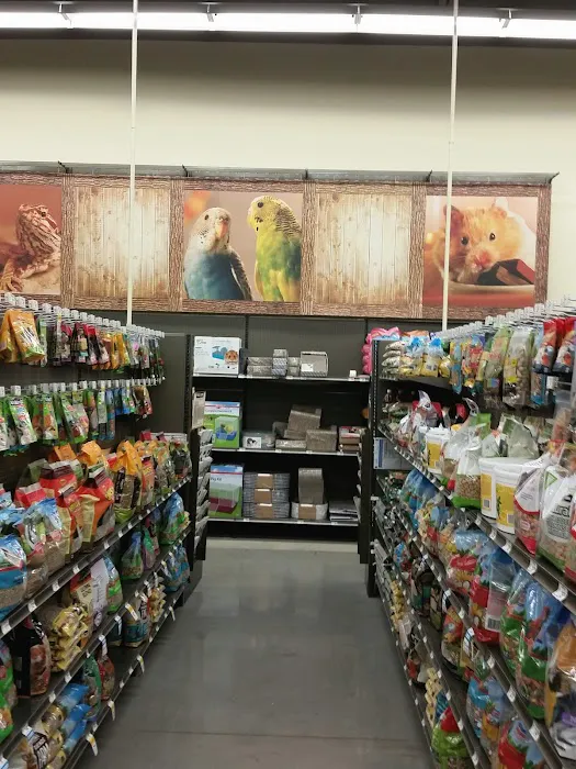 Petco Picture 8