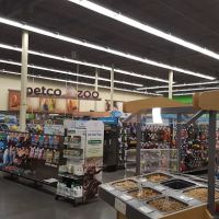 Petco ico