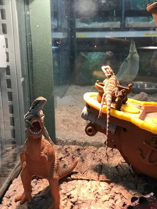 Pet Safari - In Store Shopping or CURB SIDE assistance Picture 4