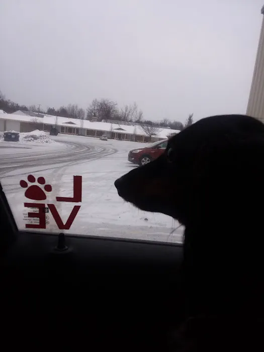 Upstate Animal Clinic Management Inc Picture 9