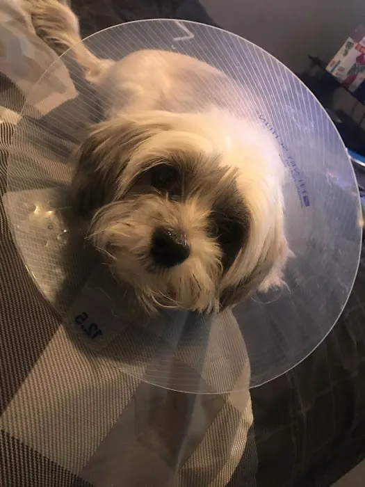 Clinton Veterinary Hospital: Price J L DVM Picture 3