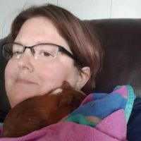 Clinton Veterinary Hospital: Price J L DVM ico